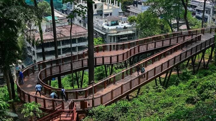 Malabar Hills Forest Walkway, Mumbai Darshan landmark
